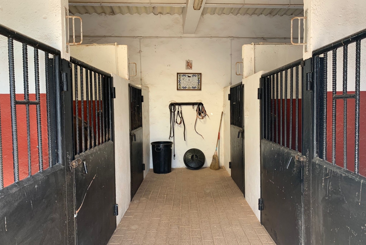 Equestrian Property in Valencia