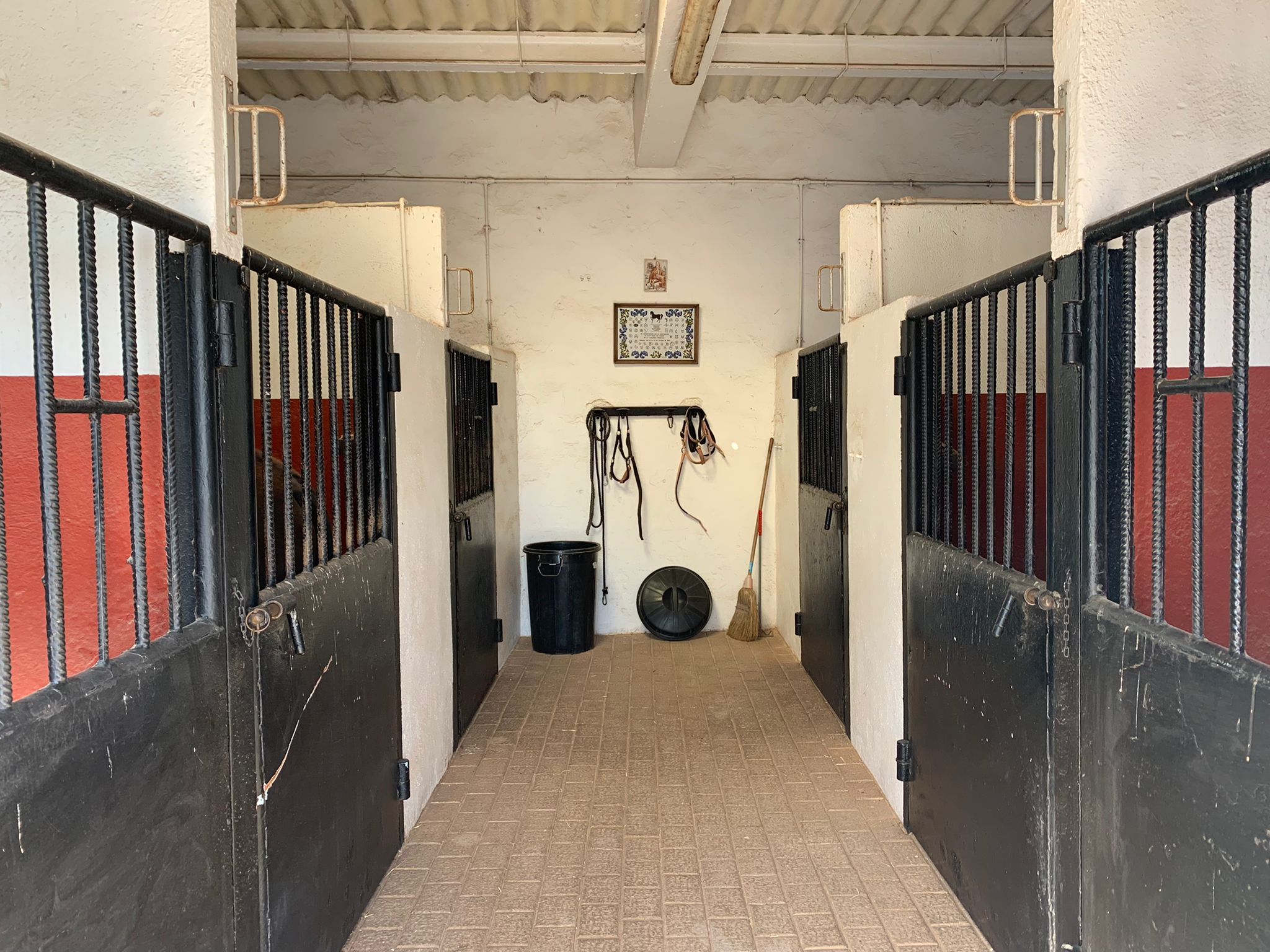Propiedad Ecuestre Valencia – Cuadras Cerradas Finca Ecuestre en Valencia