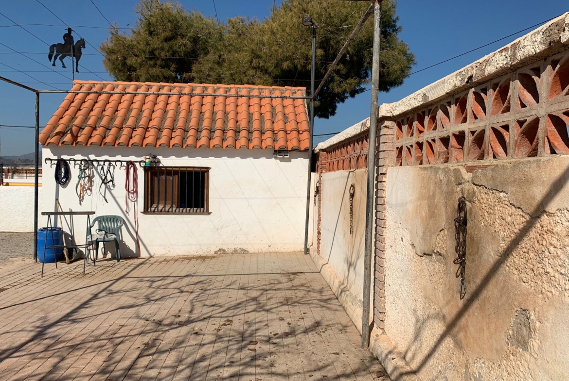 Equestrian Property in Valencia
