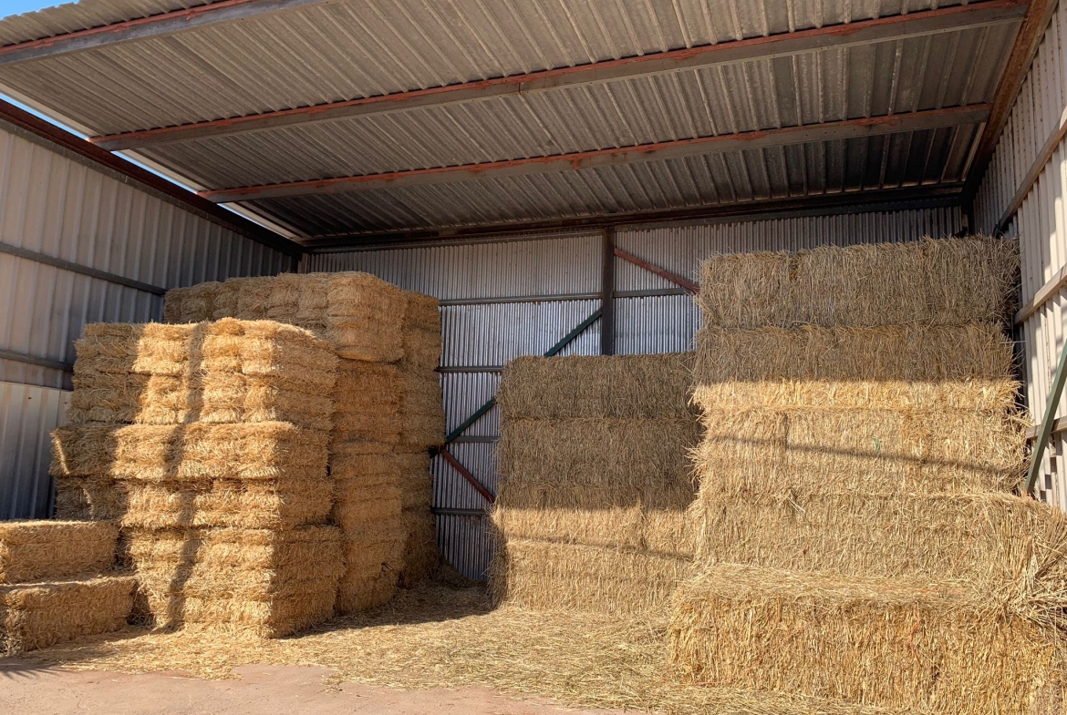 Equestrian Property in Valencia