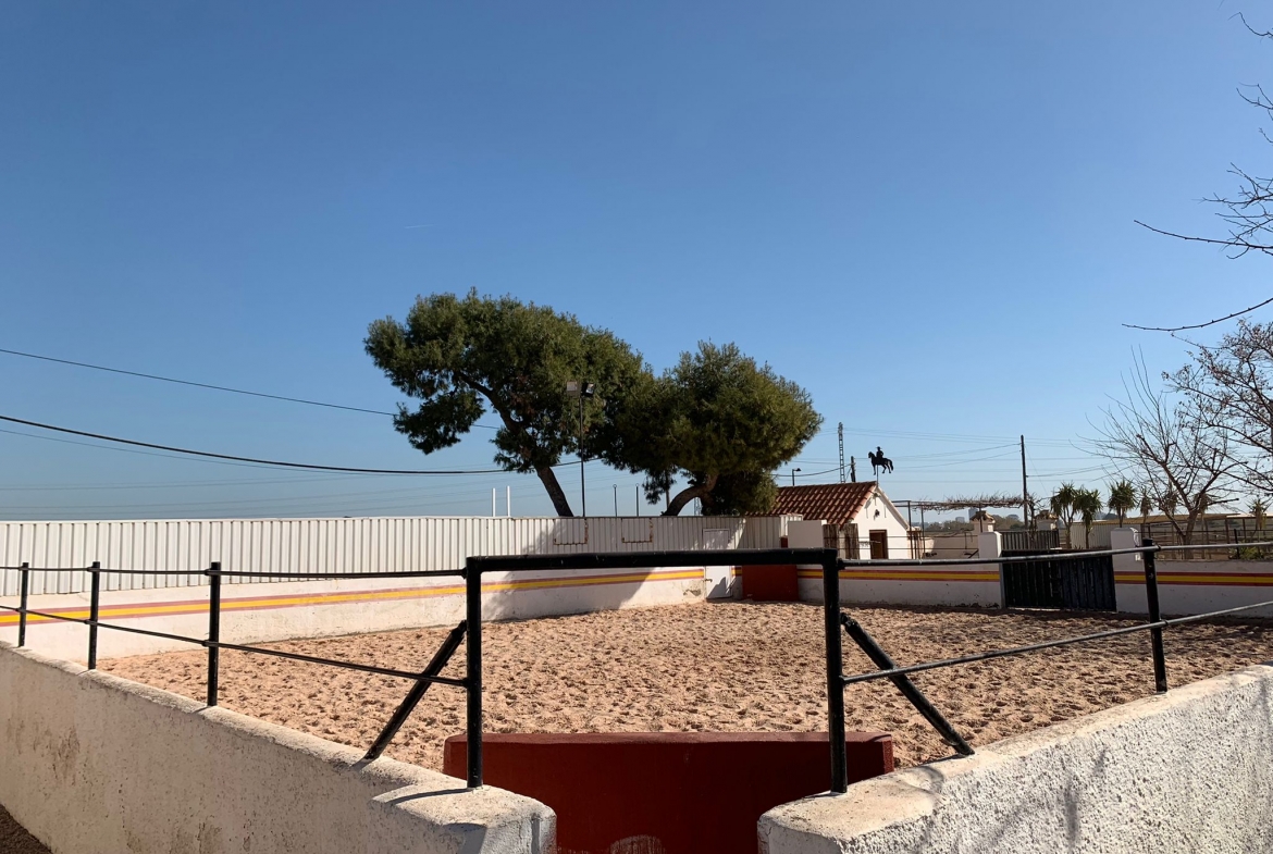 Equestrian Property in Valencia
