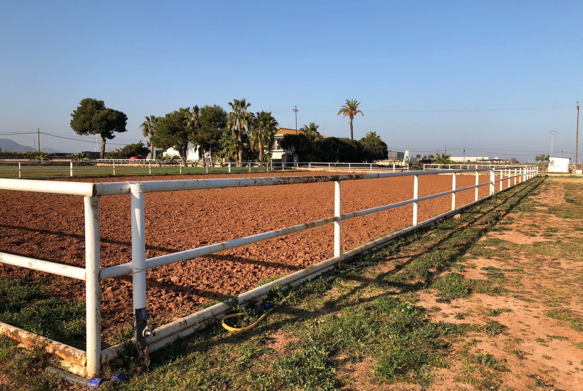 Equestrian Property in Valencia