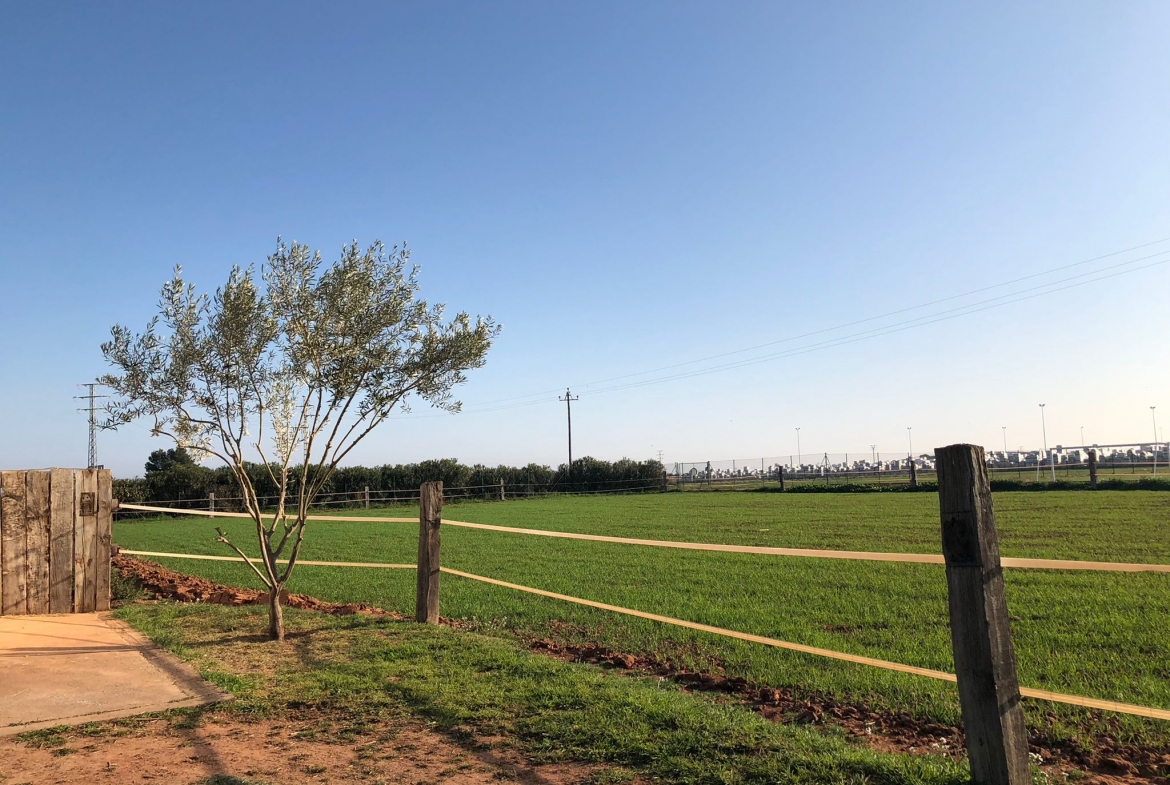 Equestrian Property in Valencia