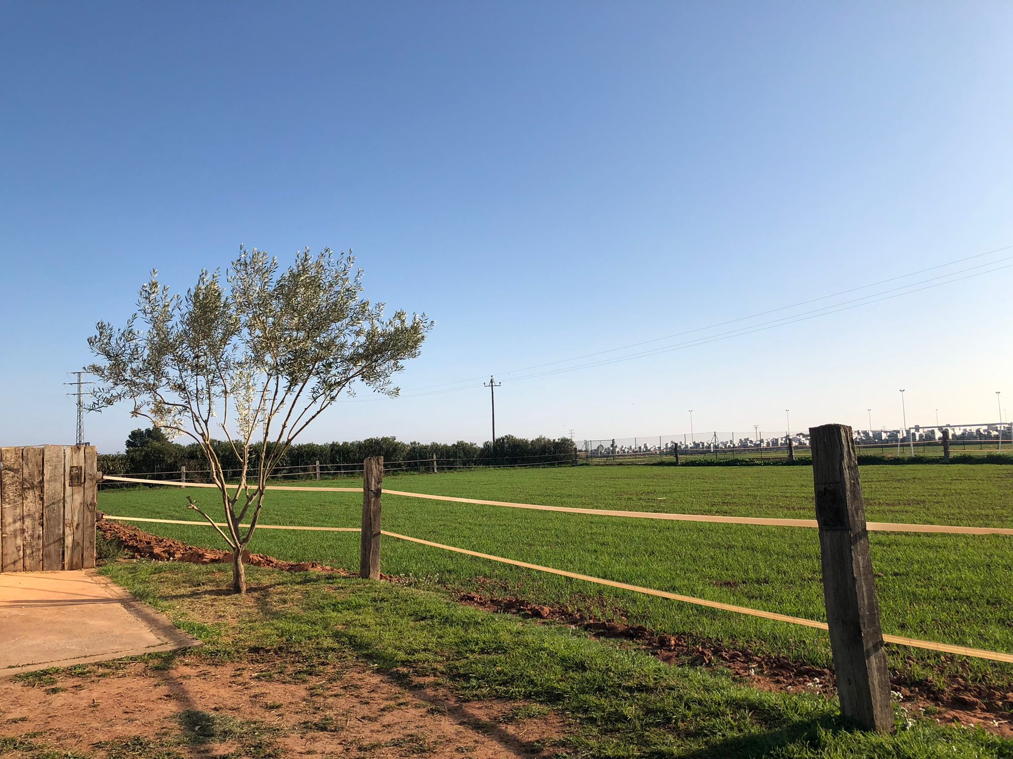 Propiedad Ecuestre Valencia – Prados Finca Ecuestre en Valencia