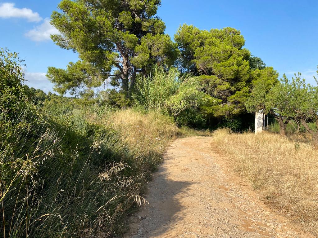 FINCA EN VENTA VALENCIA - MOLINO - CAMINO
