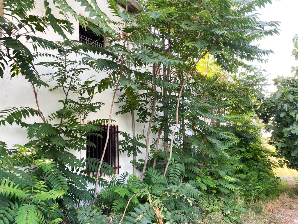 FINCA EN VENTA VALENCIA - MOLINO - CASA