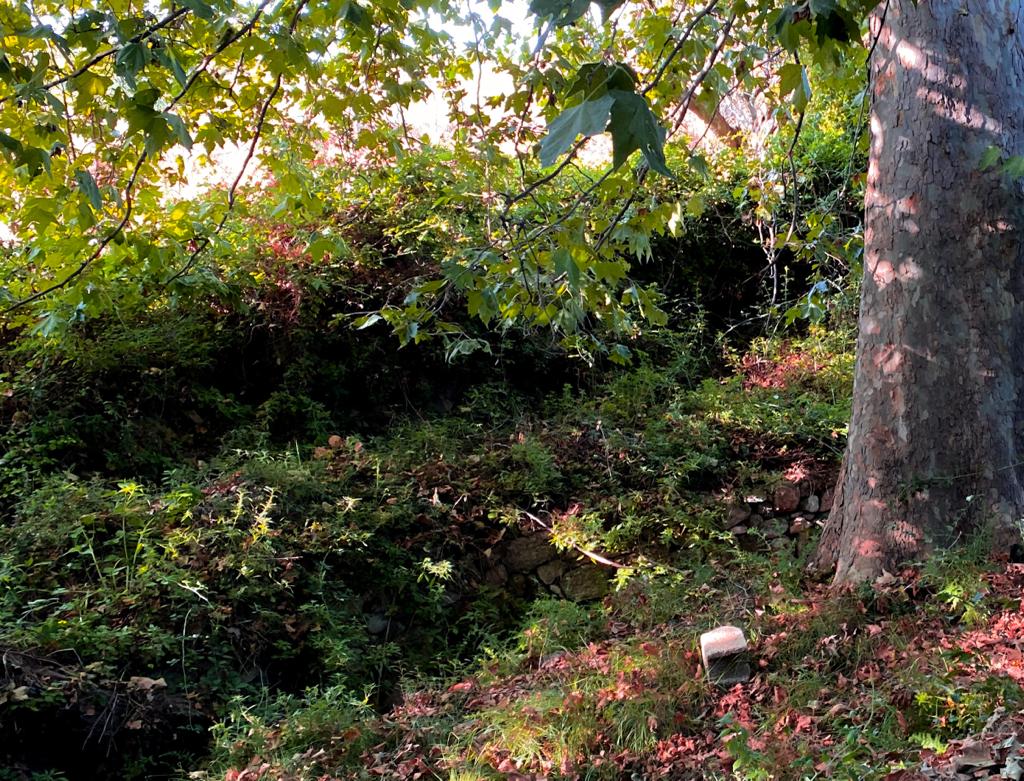 FINCA EN VENTA VALENCIA - MOLINO - FUENTE 2