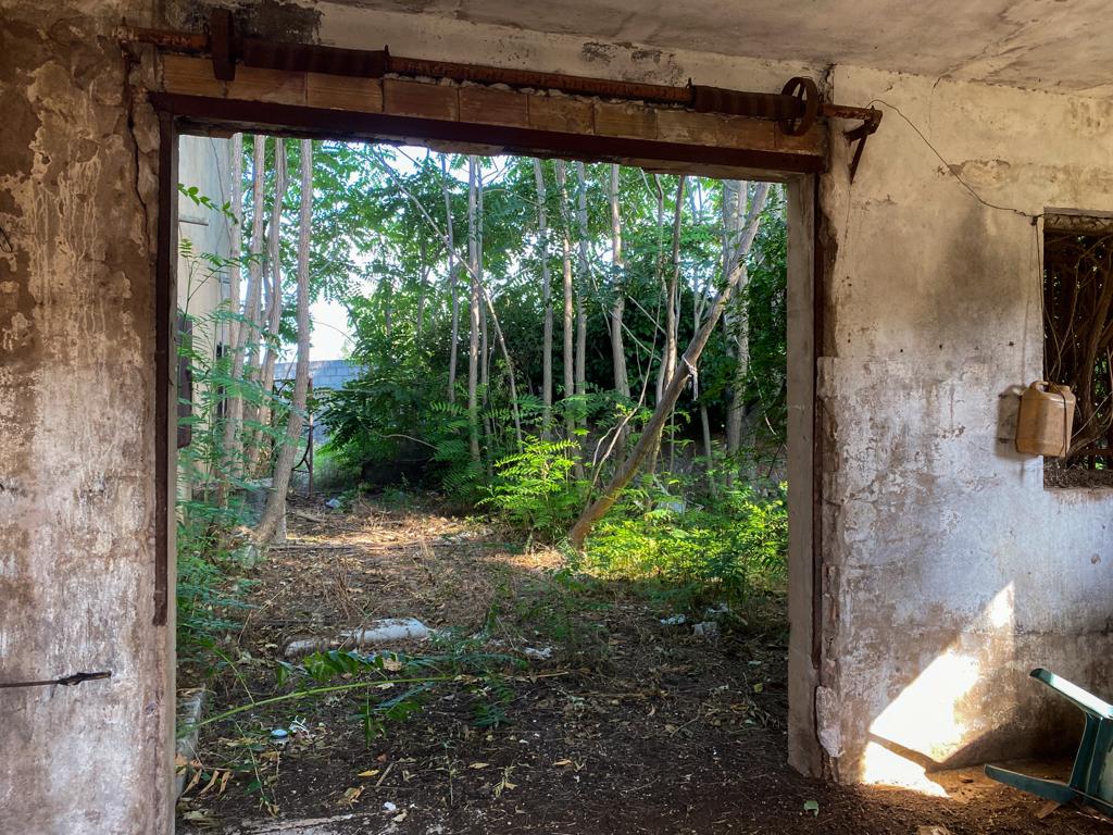 FINCA EN VENTA VALENCIA - MOLINO - INTERIOR 2