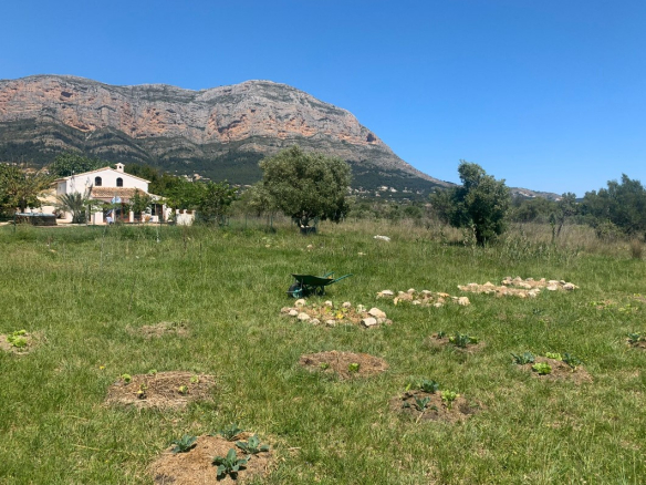 Finca for Sale in Javea