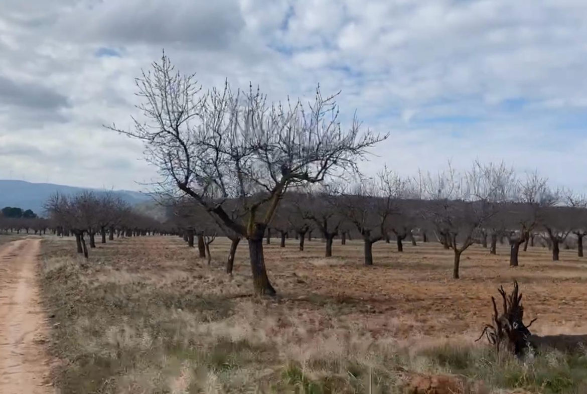 Finca Rústica en Cofrentes en Venta