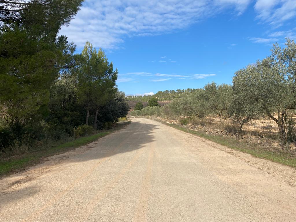 Finca de almendros en Venta en Cofrentes