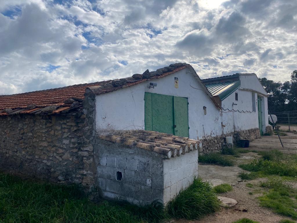 Finca de almendros en Venta en Cofrentes