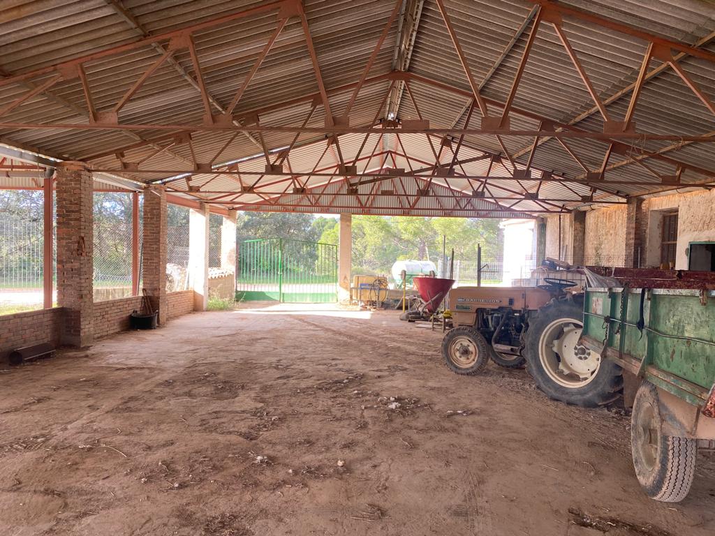 Finca de almendros en Venta en Cofrentes