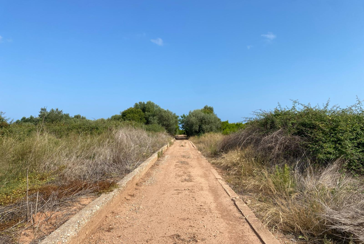 Finca Rústica en Burriana