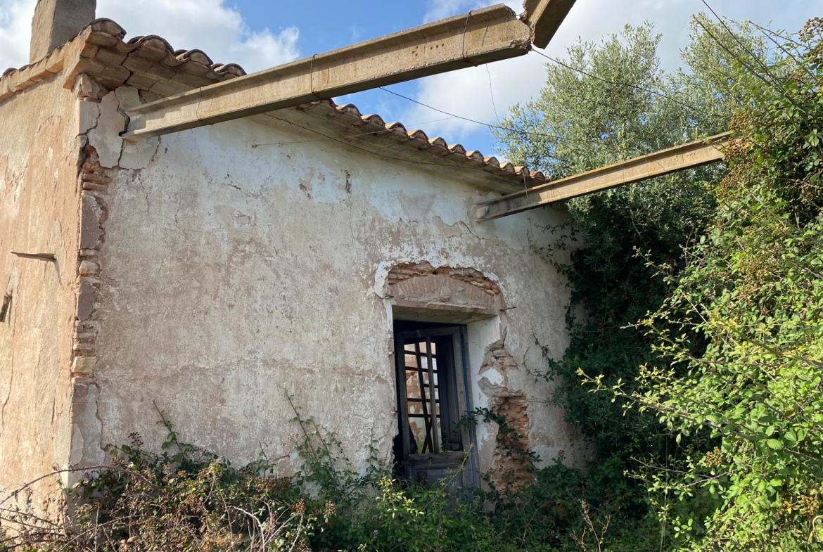 Finca Rústica en Burriana