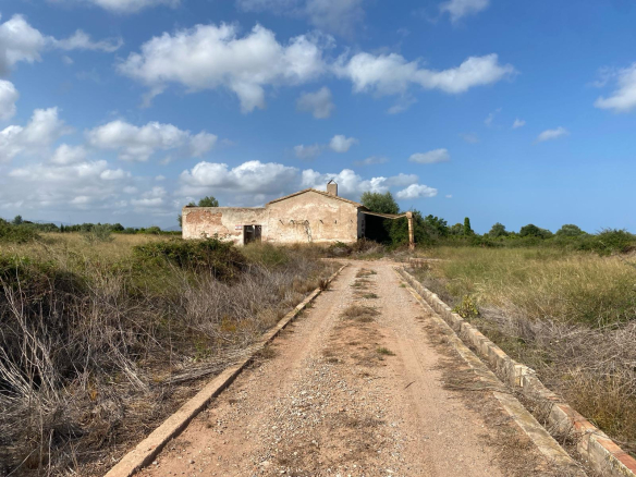 Country Property in Burriana