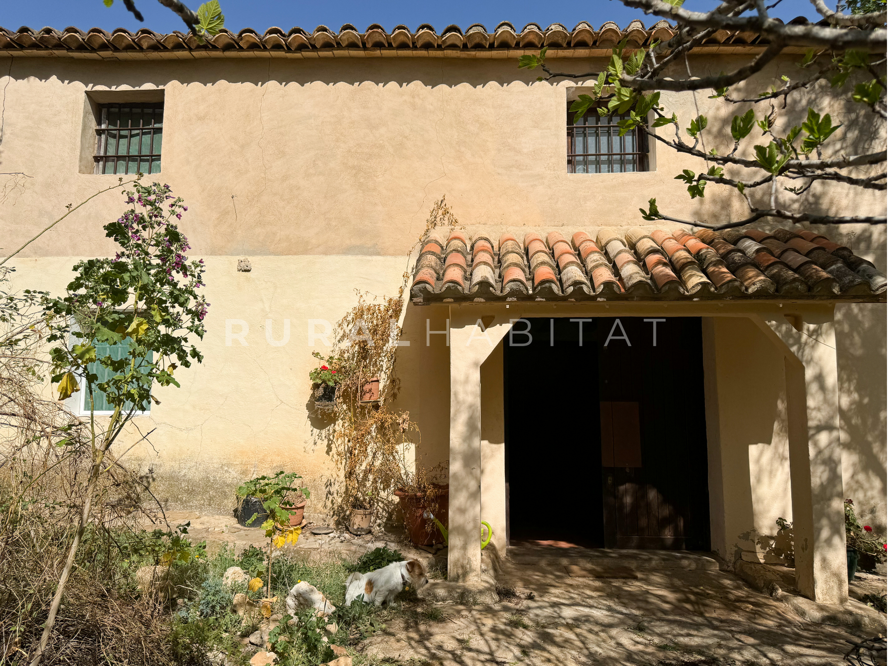 1 Finca Rústica en Mogente, Valencia