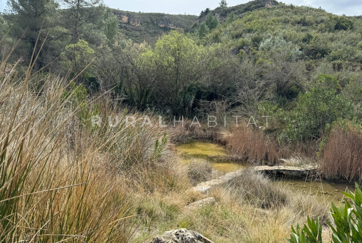 Finca en Venta Valencia Manantiales - Pozas