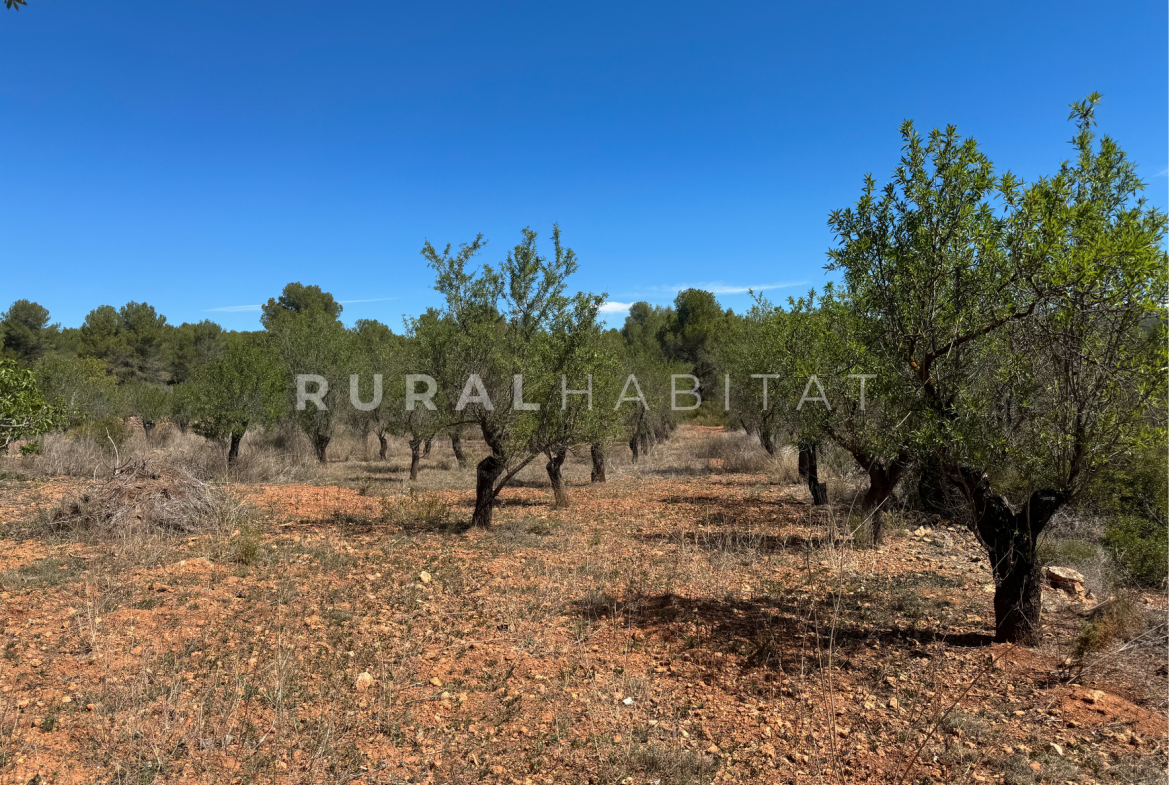 Country House for Sale in Alfara de Algimia, Valencia