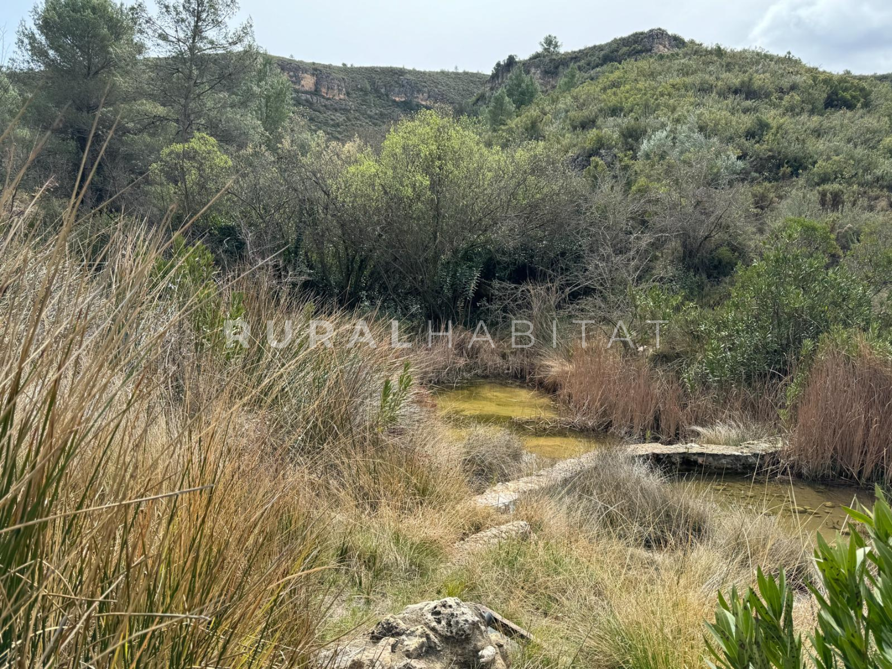 14 Finca en Venta Valencia Manantiales - Pozas