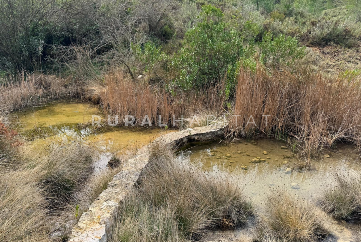 Finca en Venta Valencia Manantiales - Pozas 2