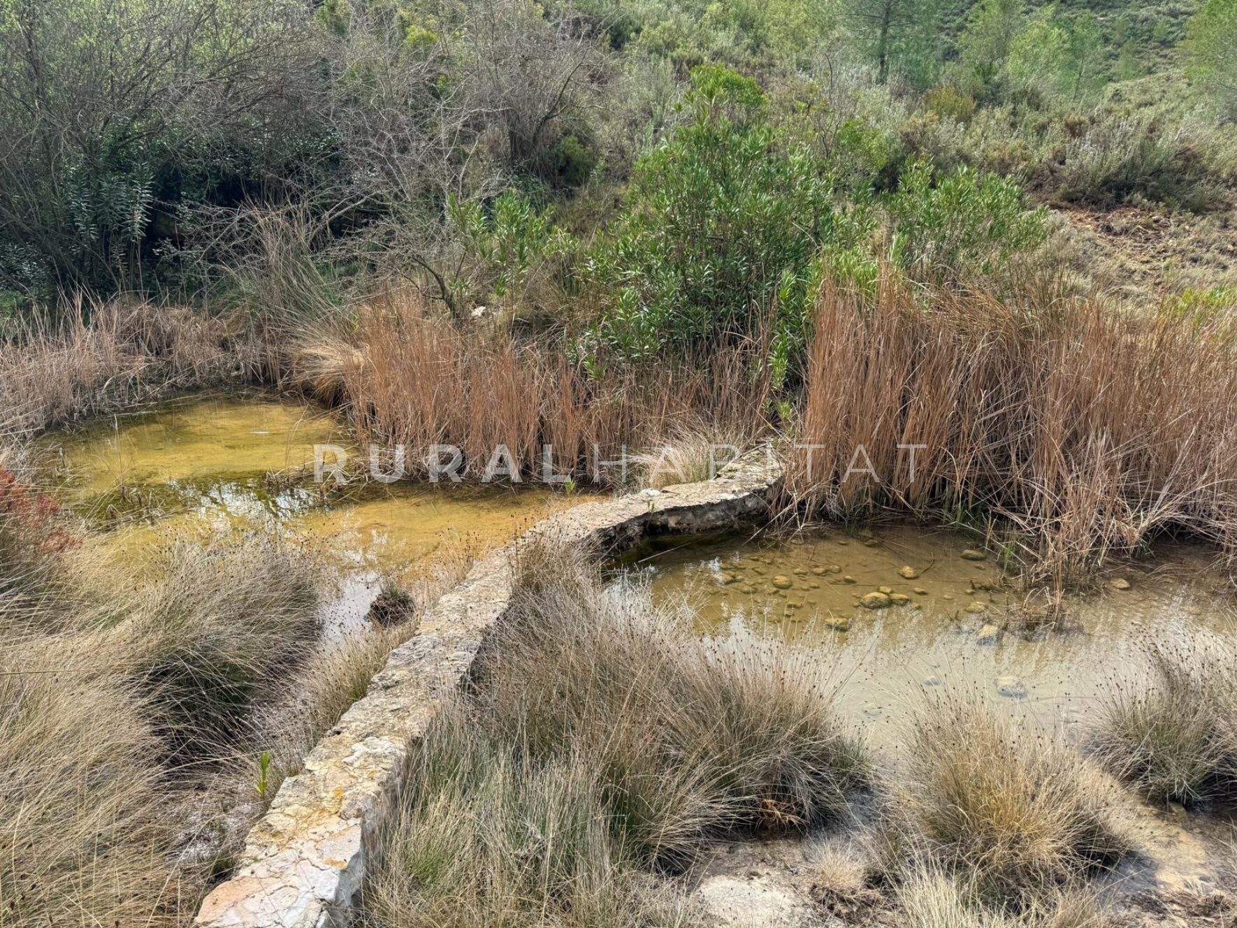 15 Finca en Venta Valencia Manantiales - Pozas 2