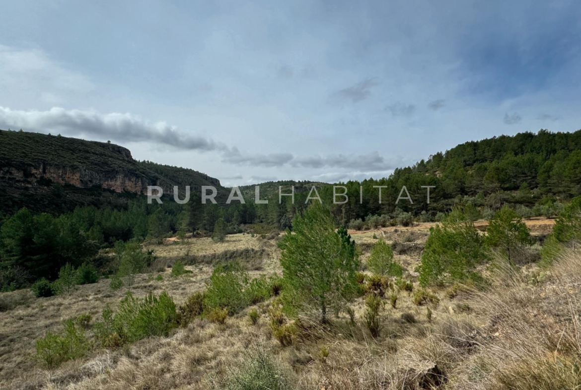 Finca en Venta Valencia Manantiales - Campo