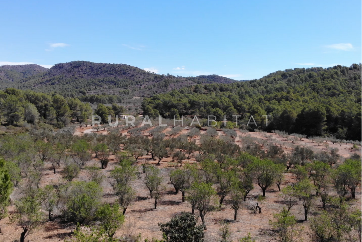Country House for Sale in Alfara de Algimia, Valencia