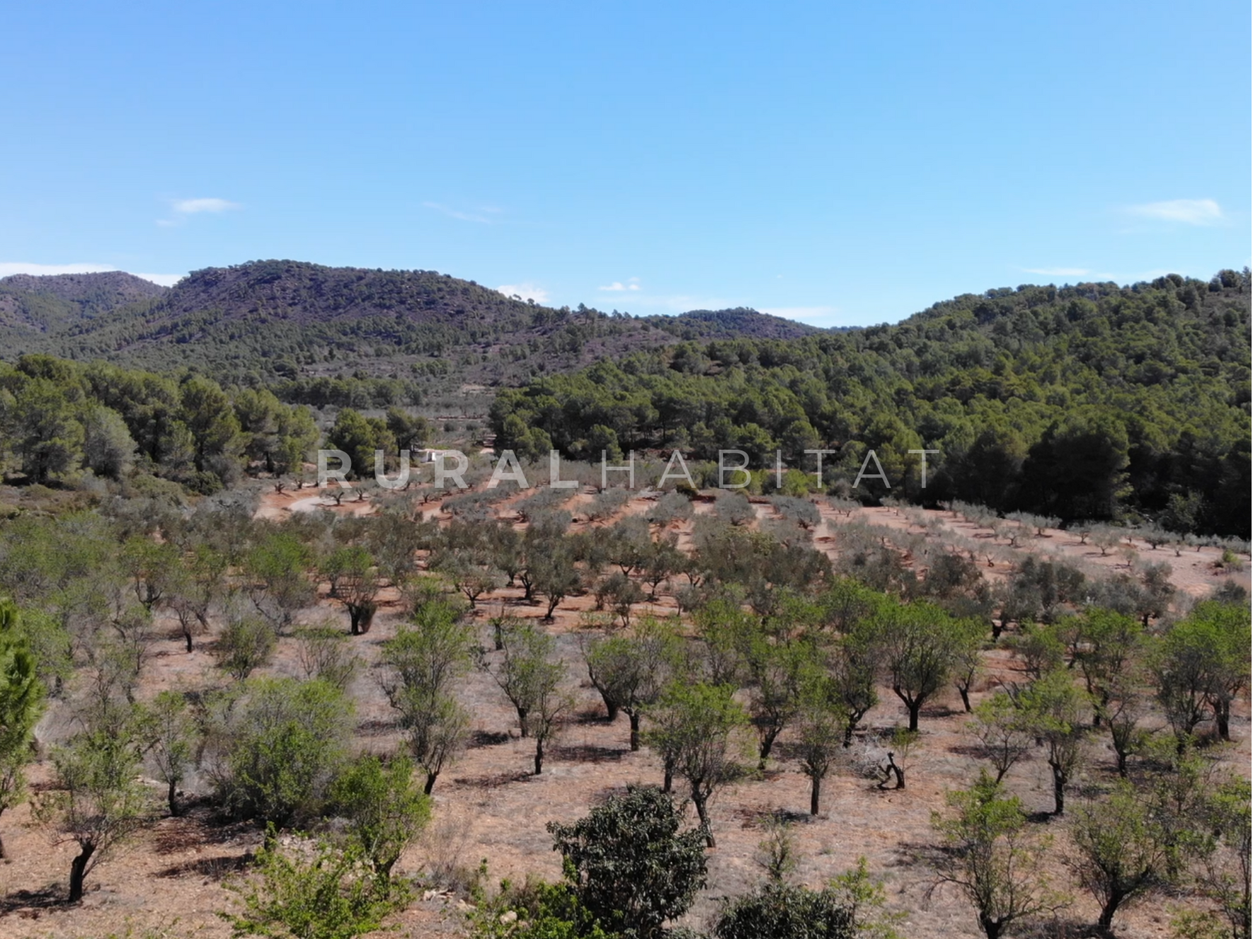 16 Country House for Sale in Alfara de Algimia, Valencia