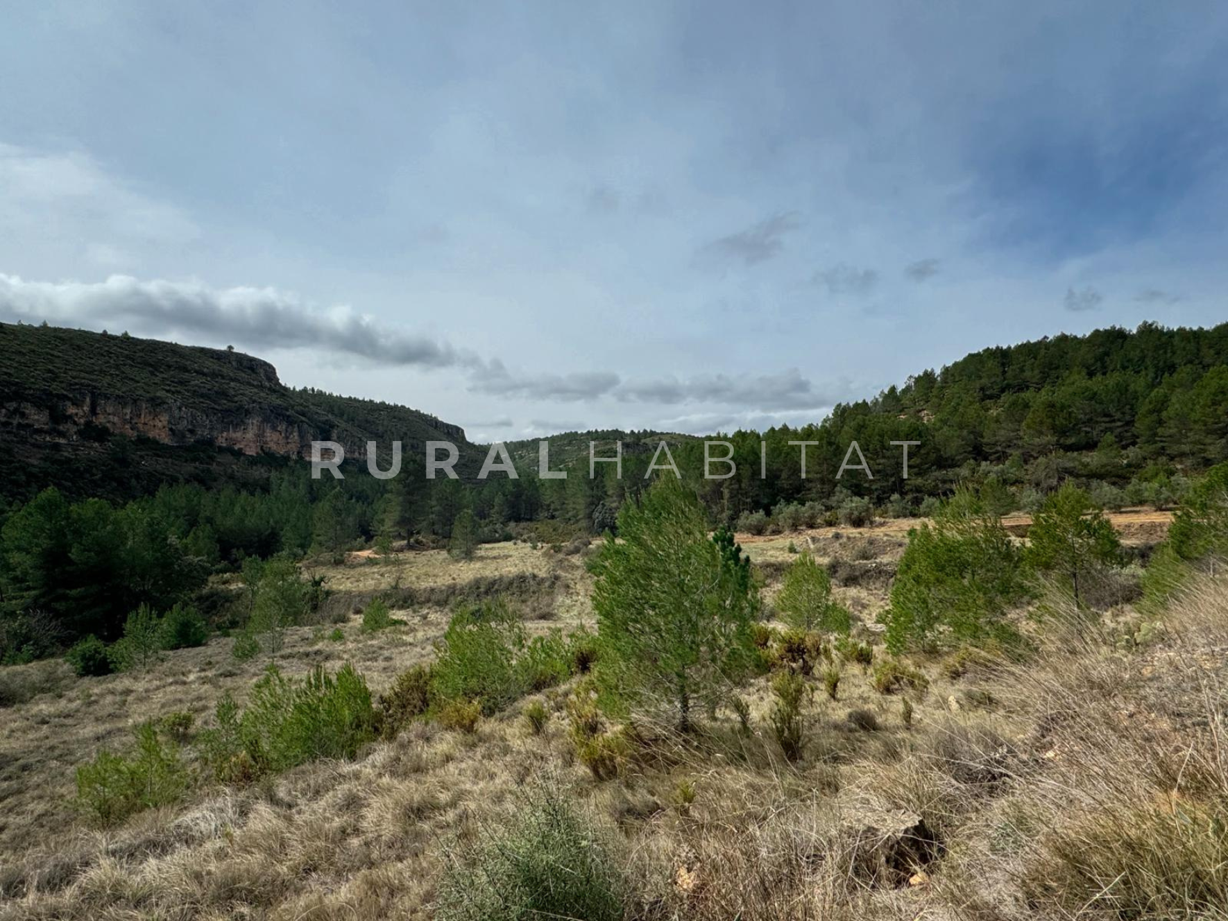 16 Finca en Venta Valencia Manantiales - Campo