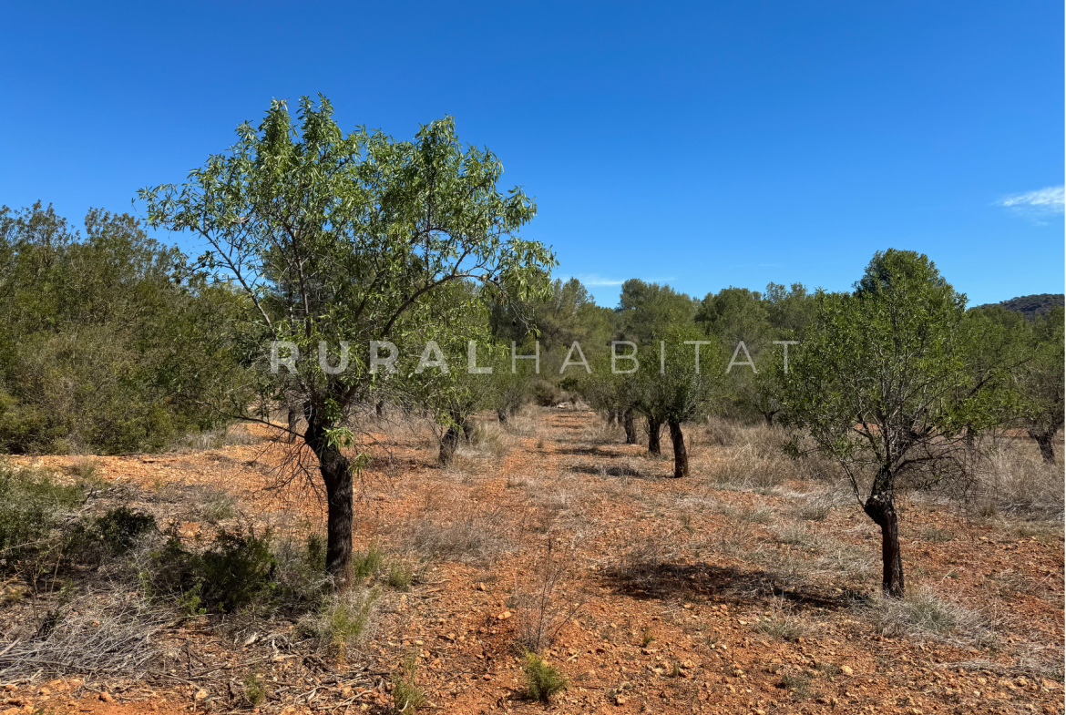 Country House for Sale in Alfara de Algimia, Valencia