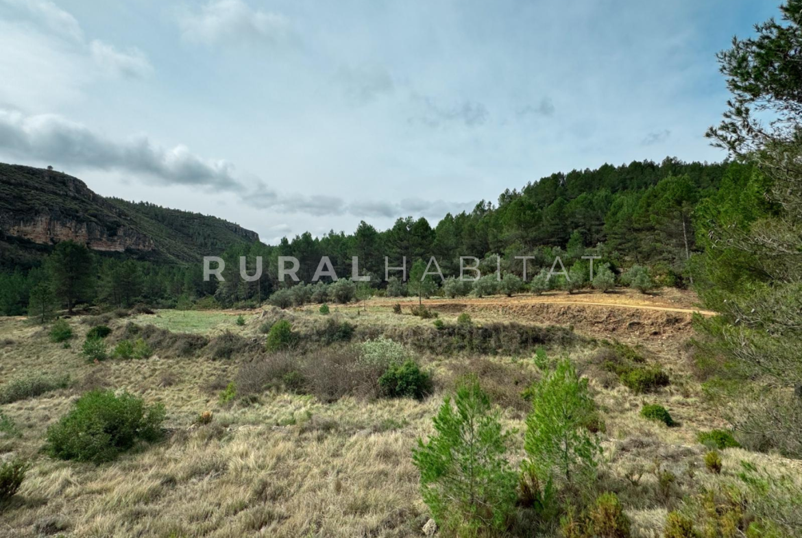 Finca en Venta Valencia Manantiales - Campo 2