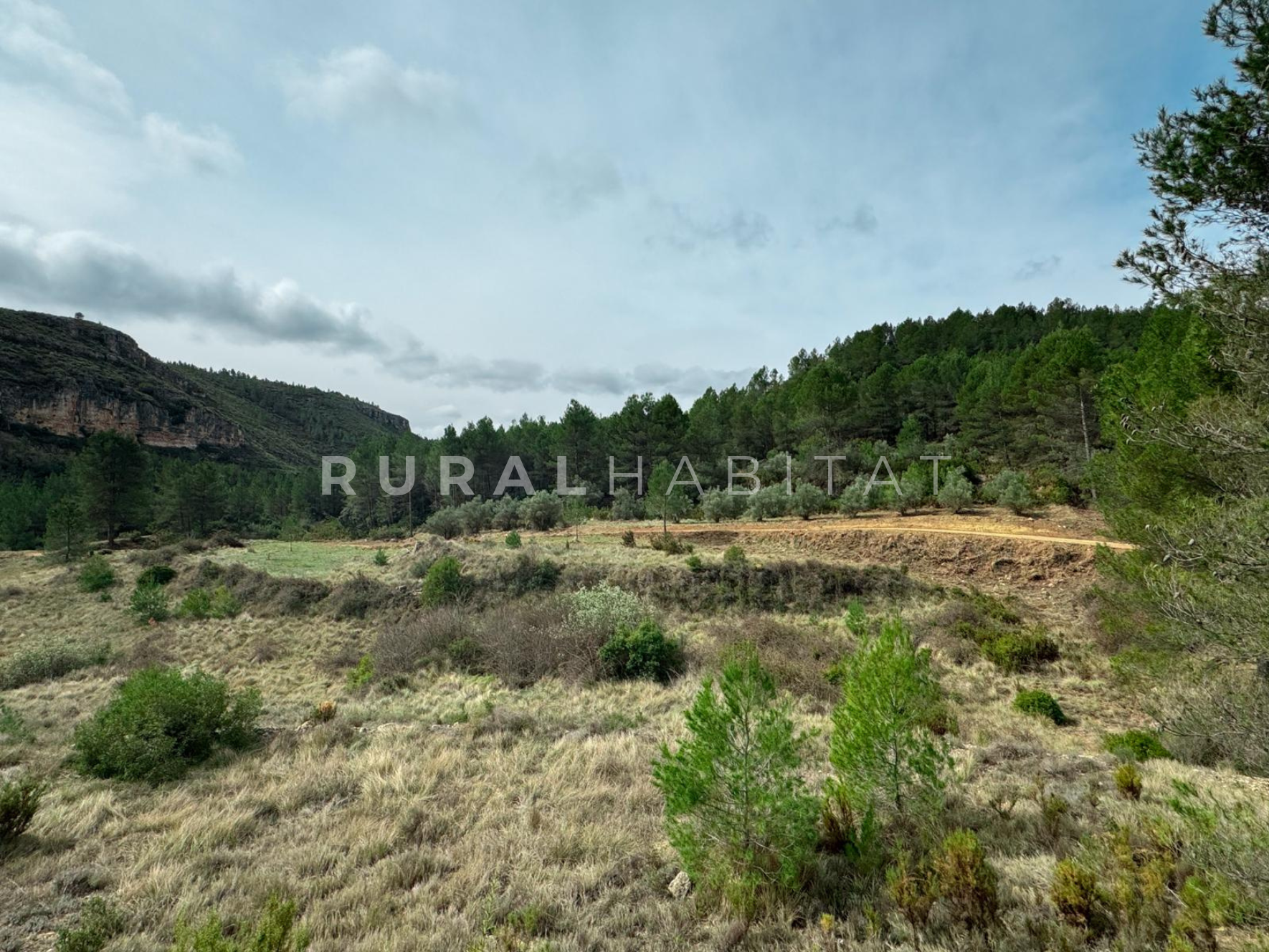 17 Finca en Venta Valencia Manantiales - Campo 2