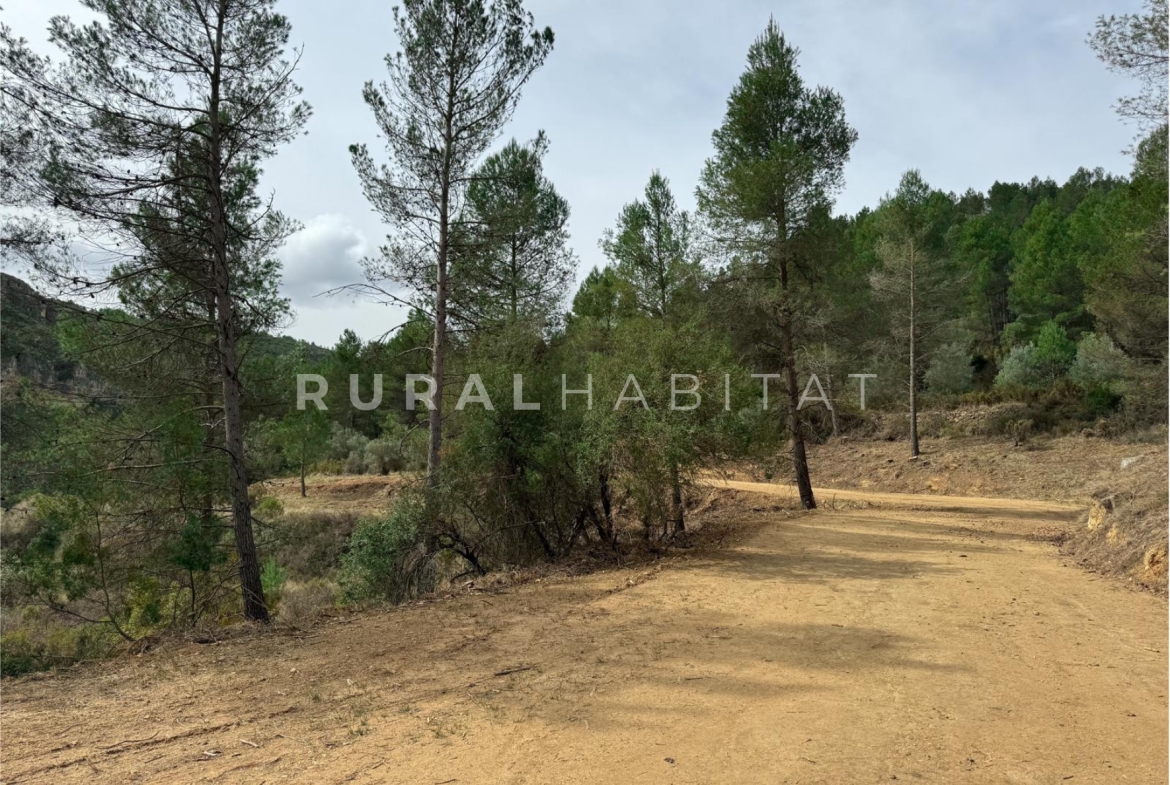 Finca en Venta Valencia Manantiales - Acceso