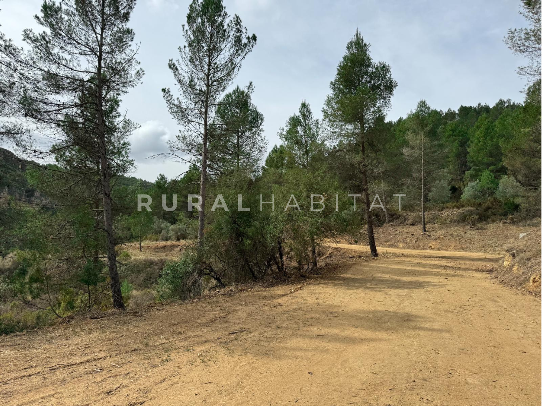 18 Finca en Venta Valencia Manantiales - Acceso