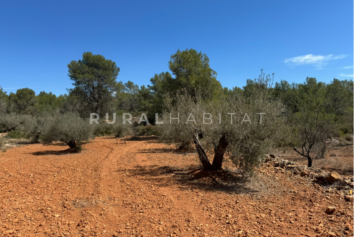 Country House for Sale in Alfara de Algimia, Valencia