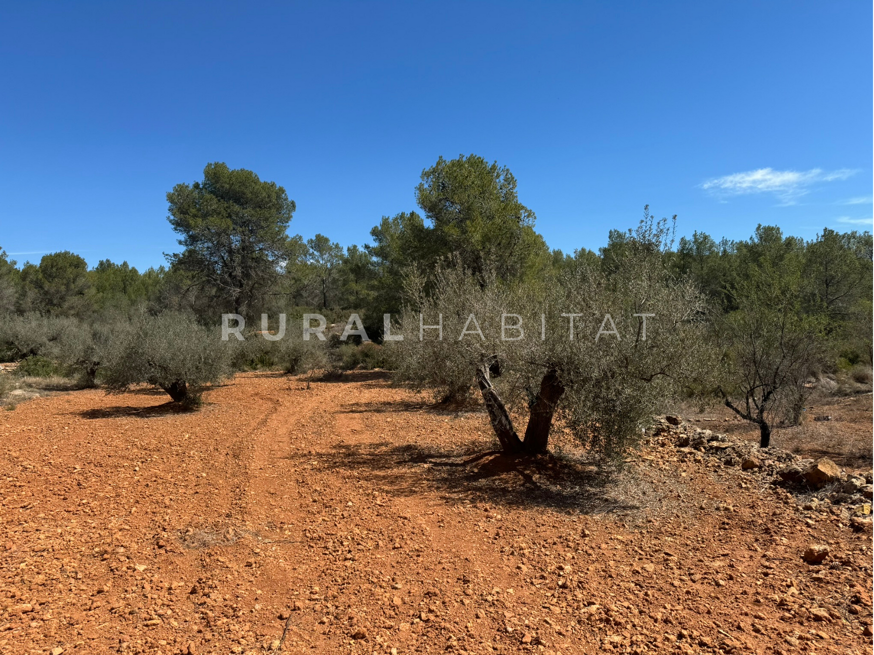 19 Country House for Sale in Alfara de Algimia, Valencia