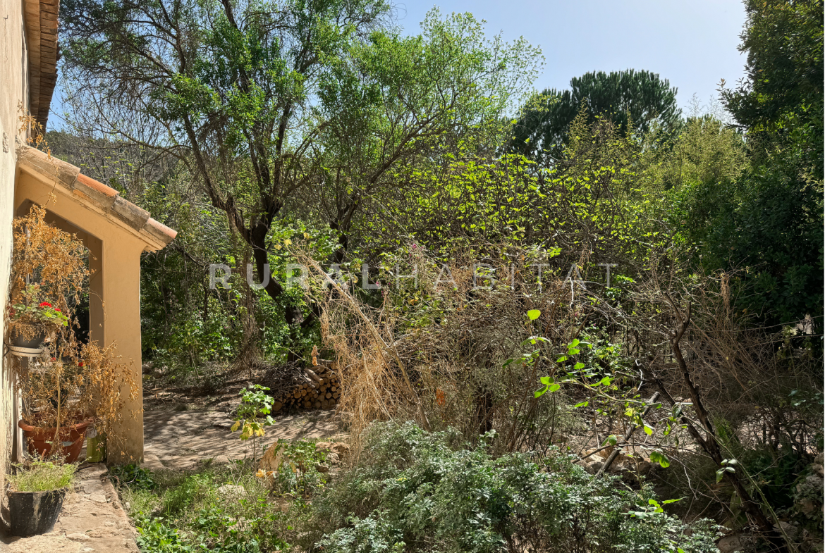Finca Rústica en Mogente, Valencia