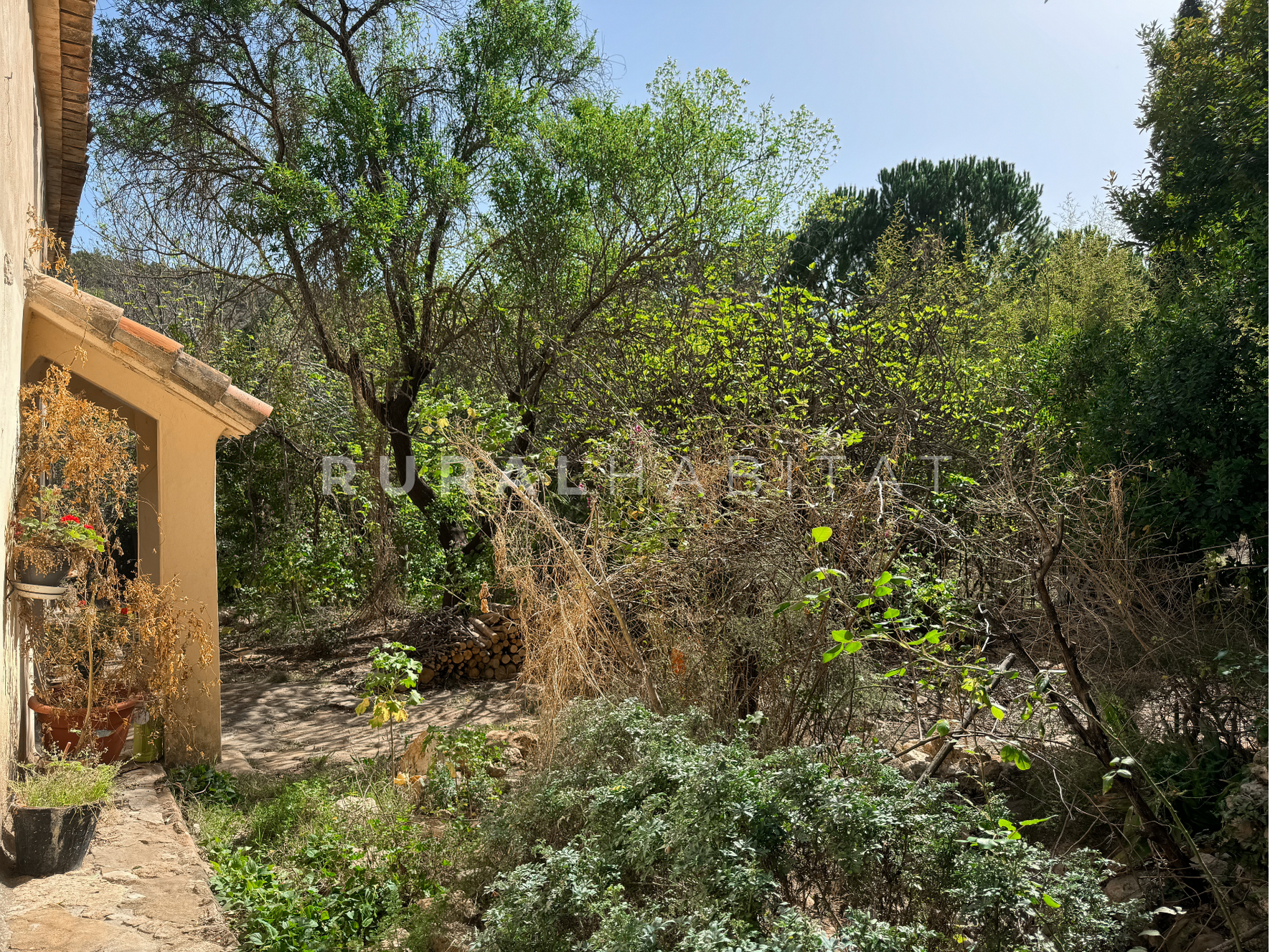 2 Finca Rústica en Mogente, Valencia