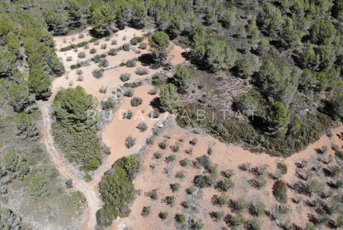 Country House for Sale in Alfara de Algimia, Valencia