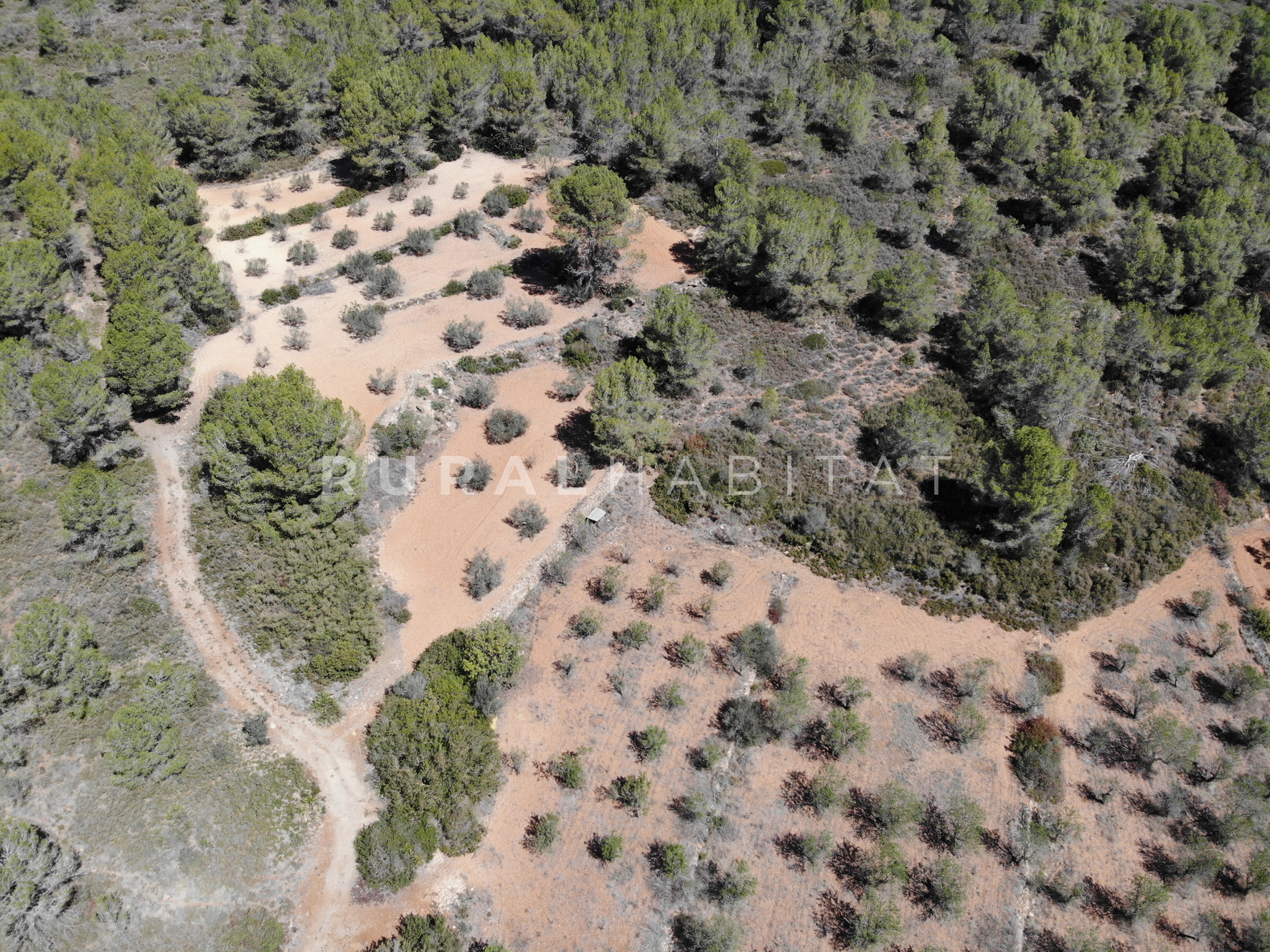 2 Country House for Sale in Alfara de Algimia, Valencia