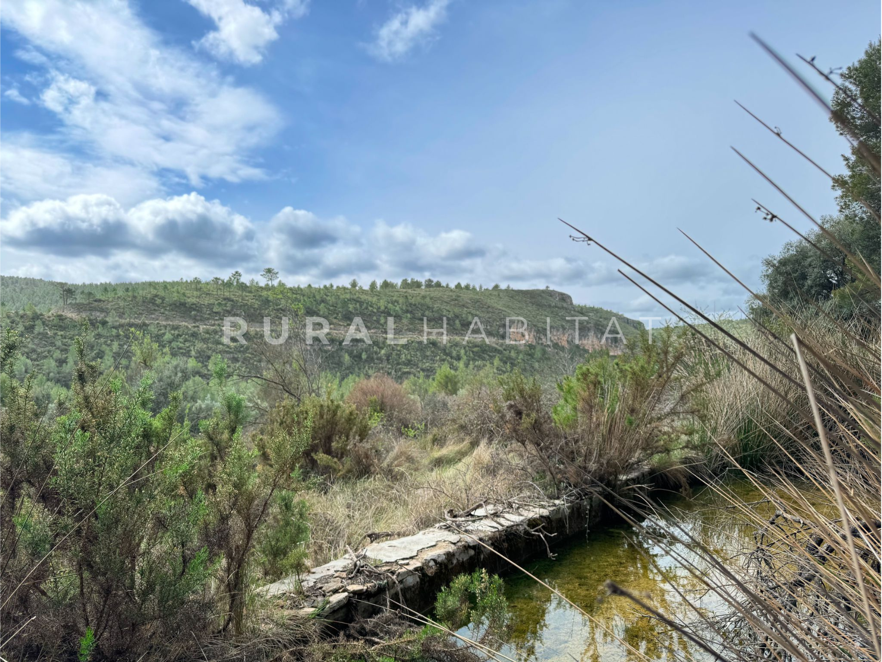 22 Finca en Venta Valencia Manantiales - Balsa