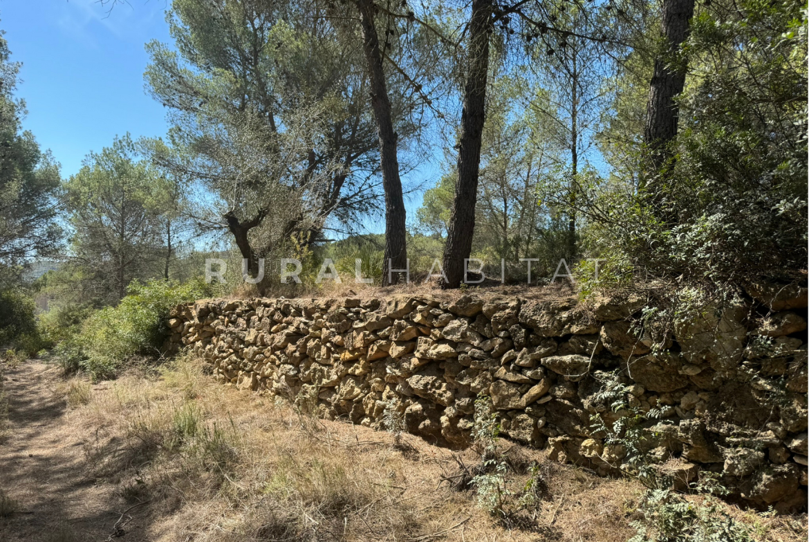 Country House for Sale in Alfara de Algimia, Valencia