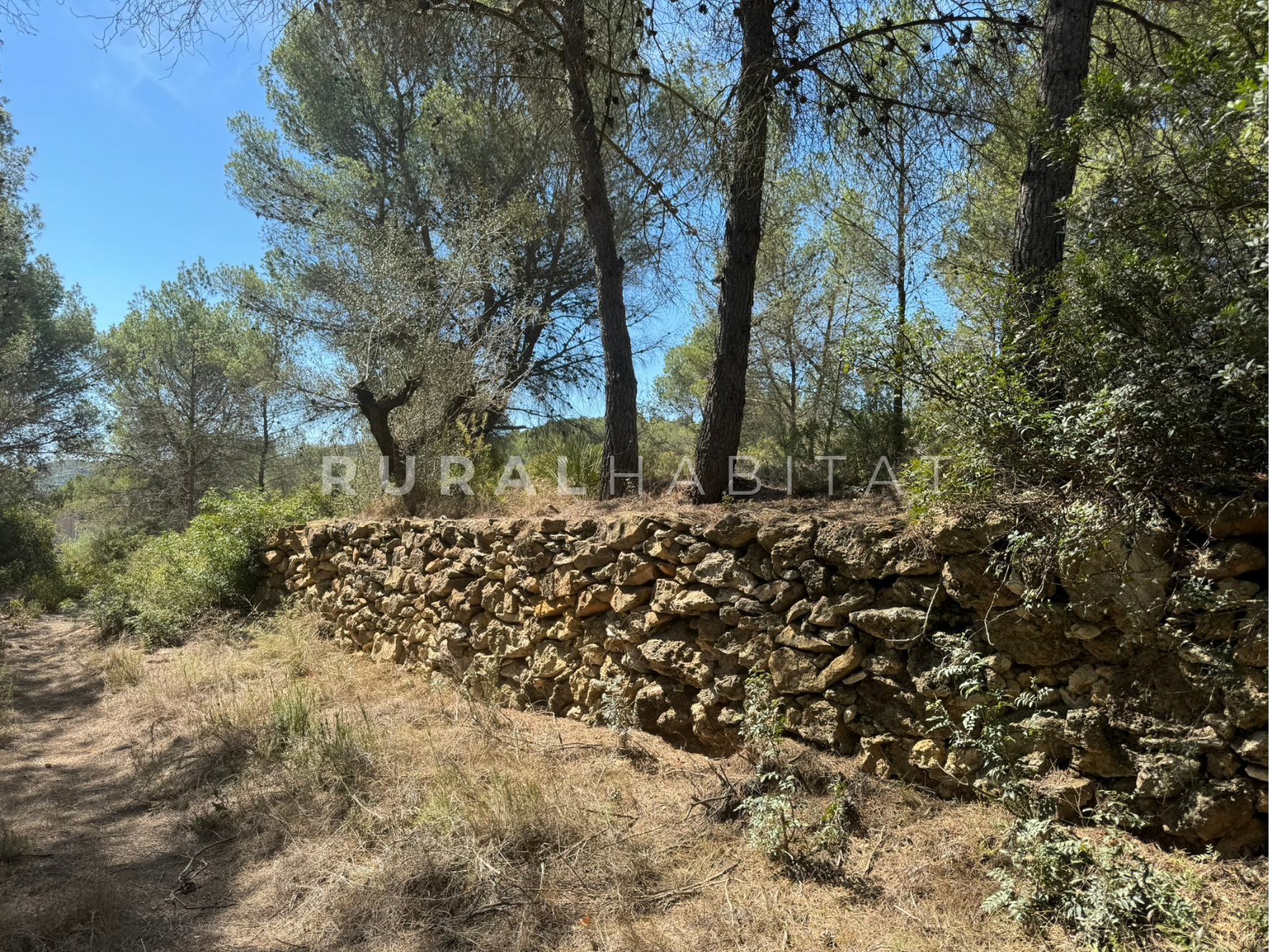 25 Country House for Sale in Alfara de Algimia, Valencia