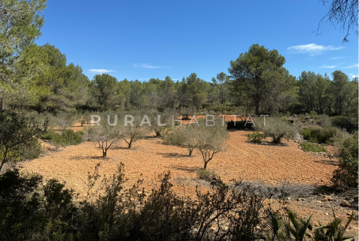 Country House for Sale in Alfara de Algimia, Valencia