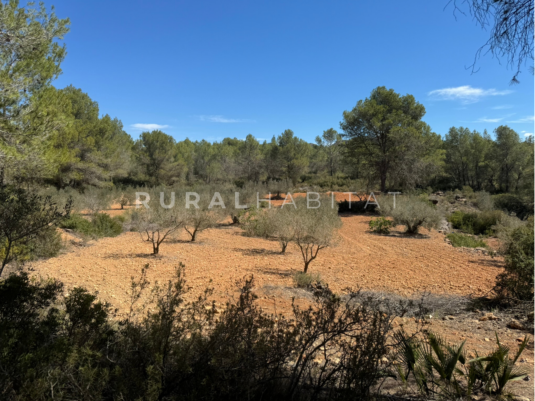 26 Country House for Sale in Alfara de Algimia, Valencia