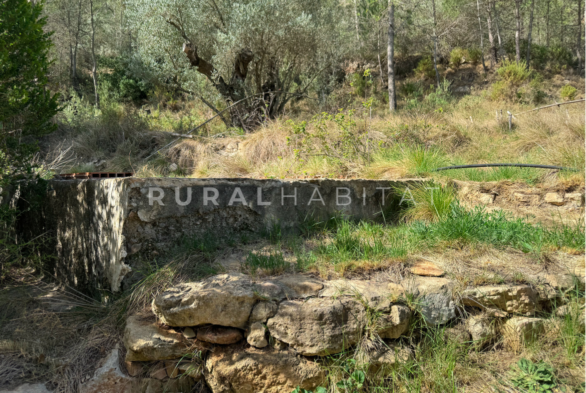 Finca Rústica en Mogente, Valencia
