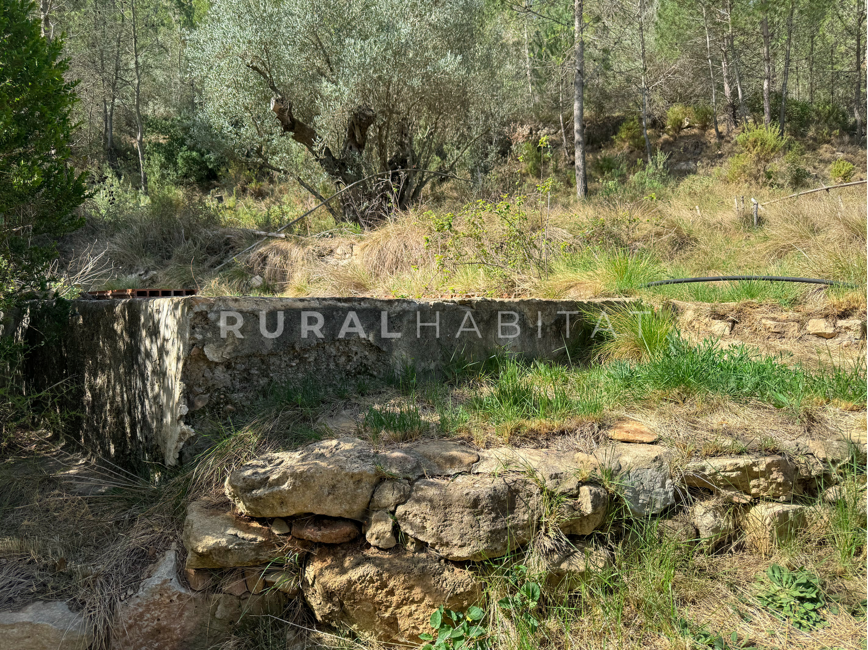 29 Finca Rústica en Mogente, Valencia