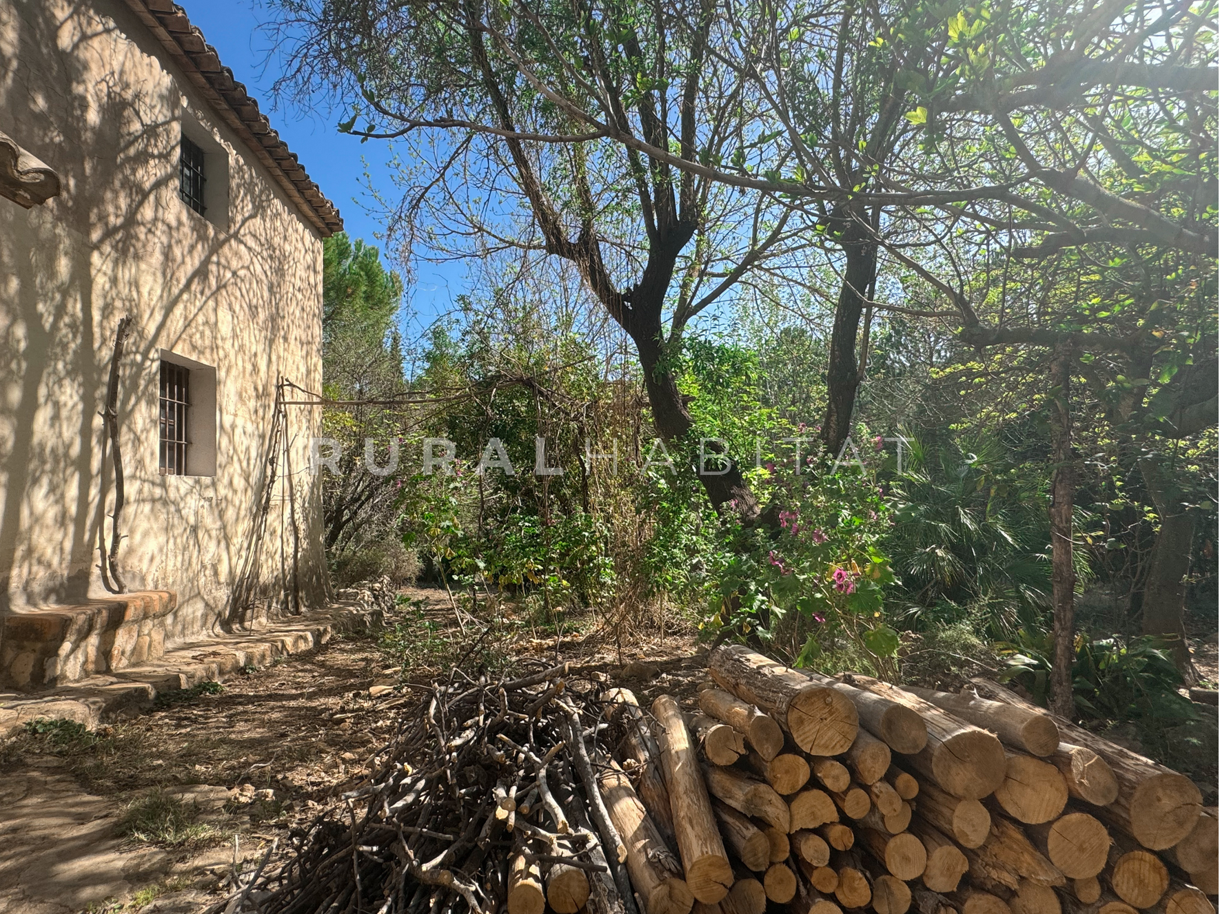 3 Finca Rústica en Mogente, Valencia