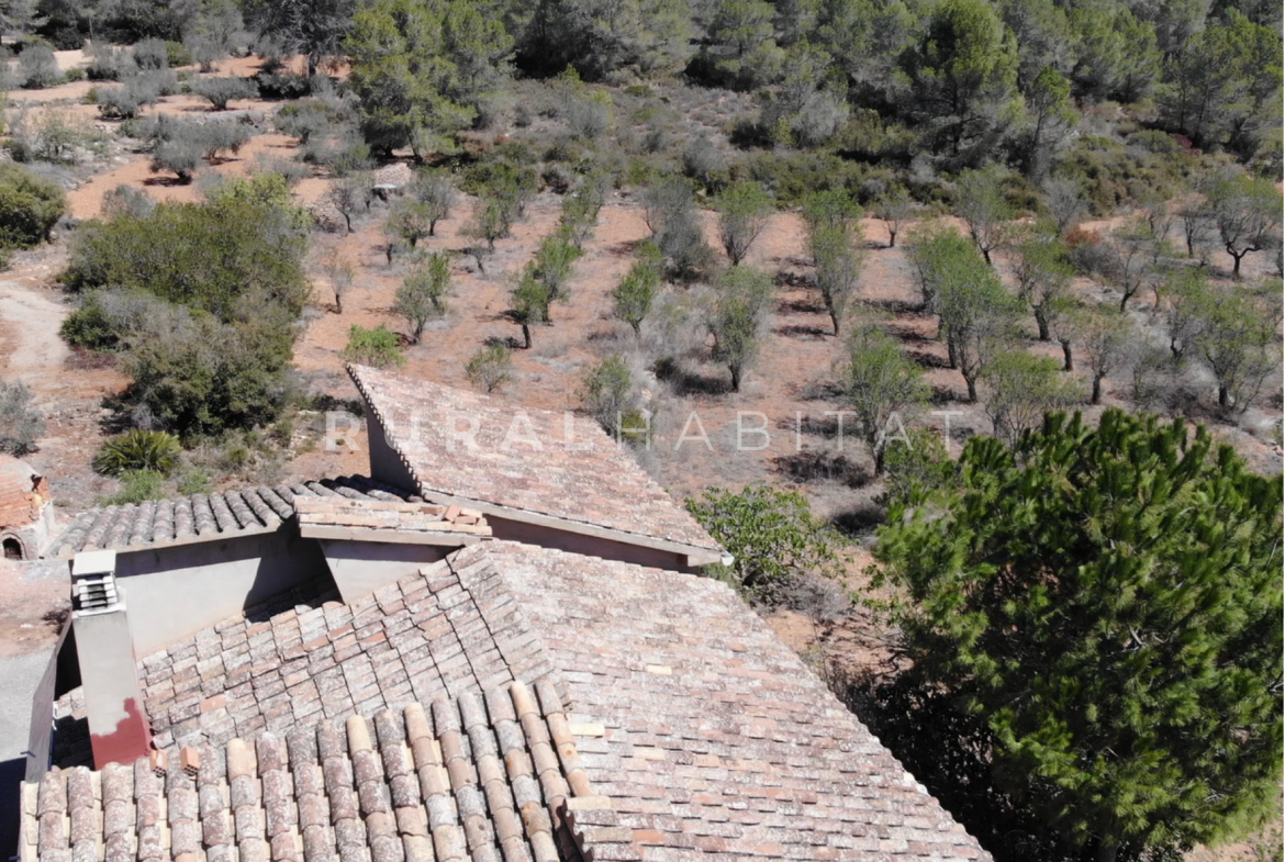 Country House for Sale in Alfara de Algimia, Valencia